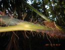 dscn1733